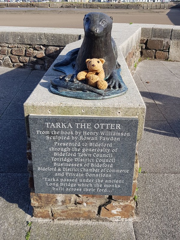 6 Tarka