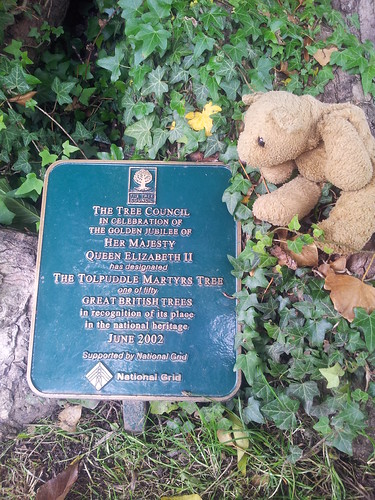 Tolpuddle 5