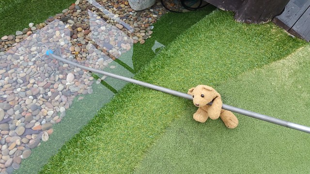 Golf 11