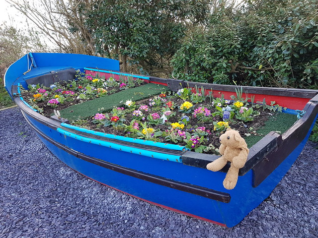 6 Boat