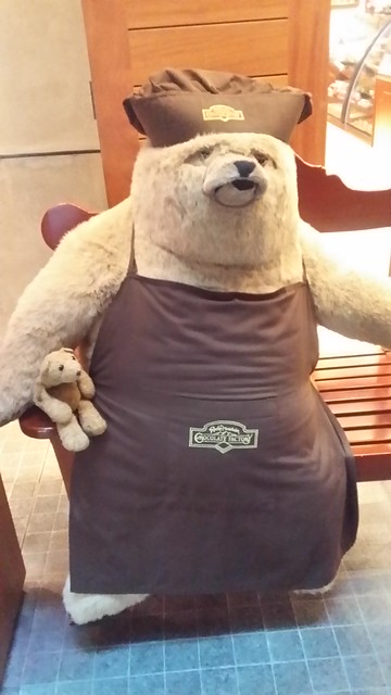 Abu Dhabi 13