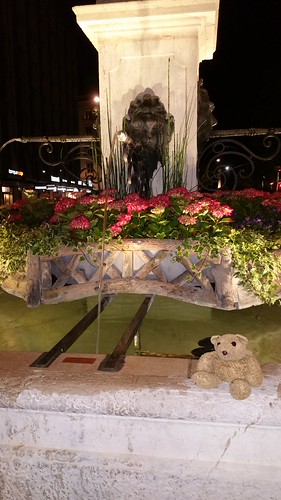 2 G-Flower Fountain