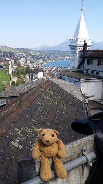 4 Lucern Top of the Hill