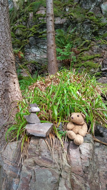 21 Rocks in the Woods
