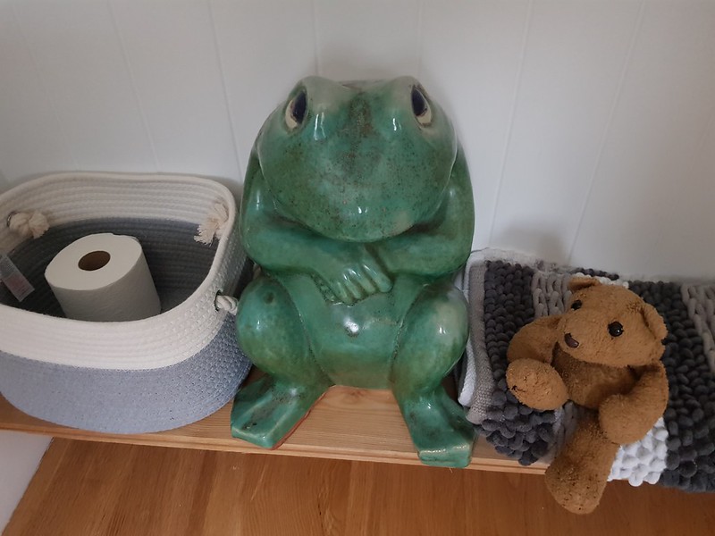16 Frog