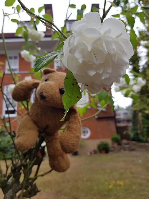 1 Nature 1
