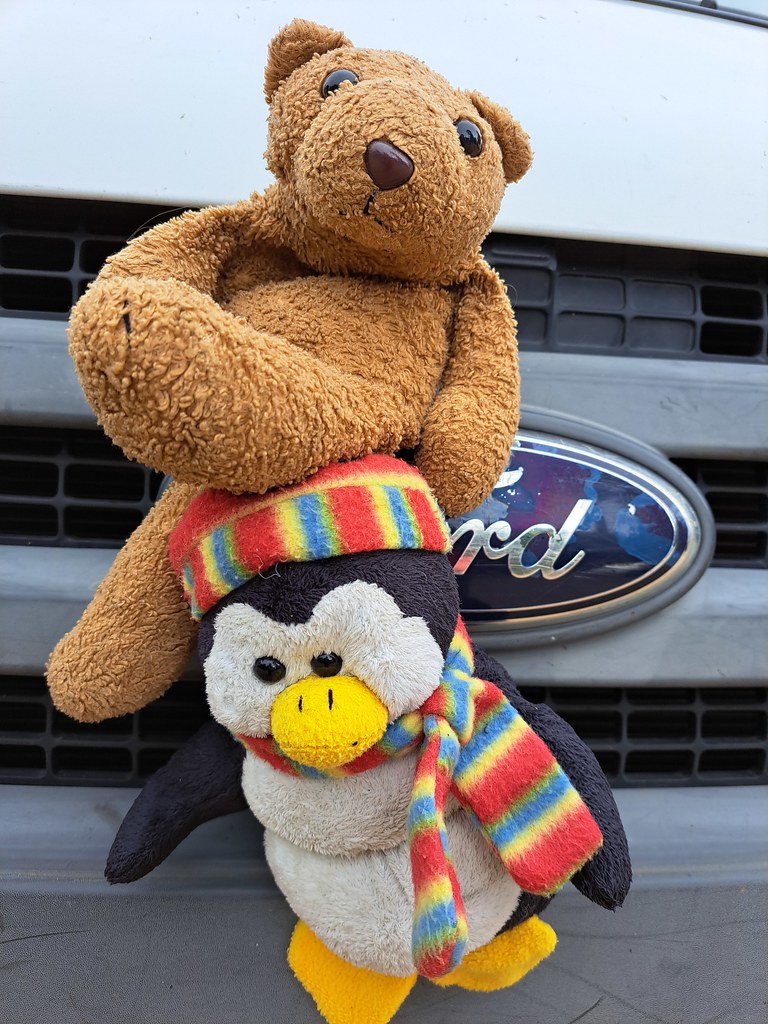 Oxford 10-Penguin