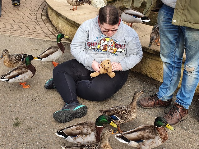 2a Ducks