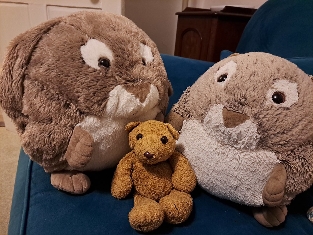 3 Guests