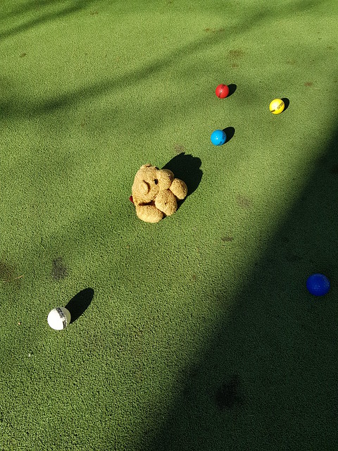 5h Golf