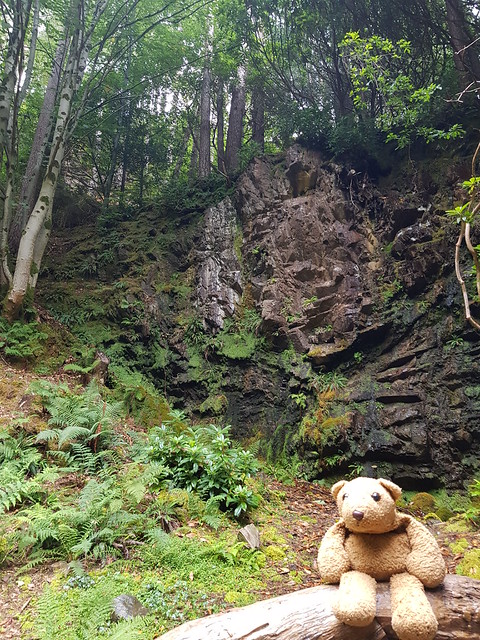 16 Forest