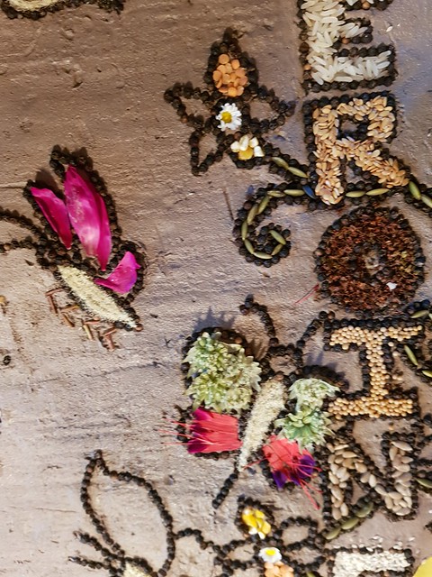 4 Butterflies