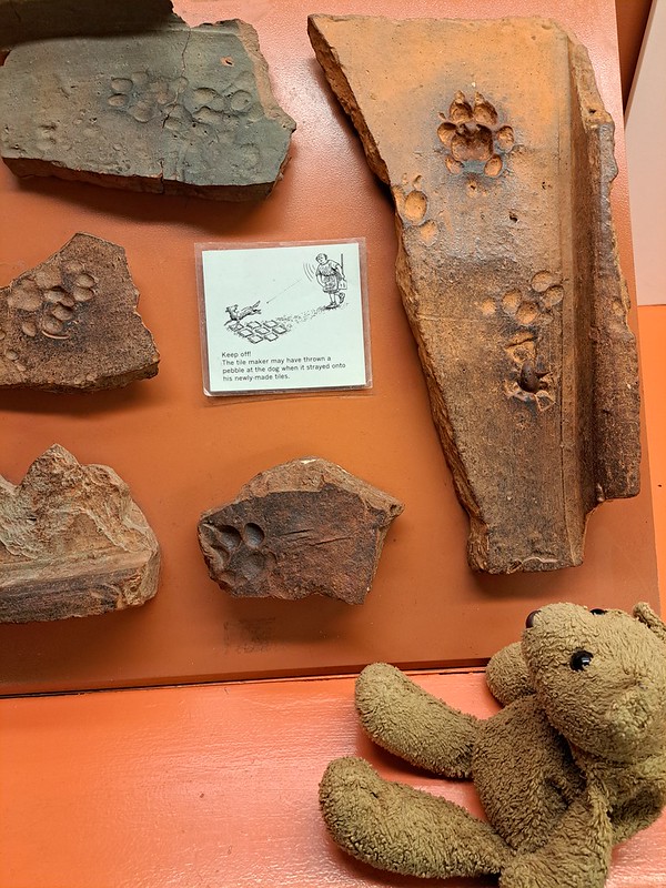 Museum 7