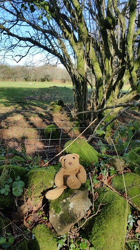 Stickwick 7