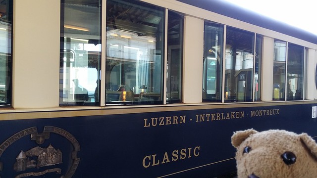 17 Golden Line