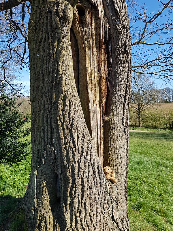 4 Up A Tree